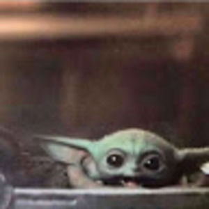 Meet your Posher, Yoselin